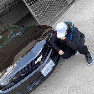 Meet your Posher, Wolf